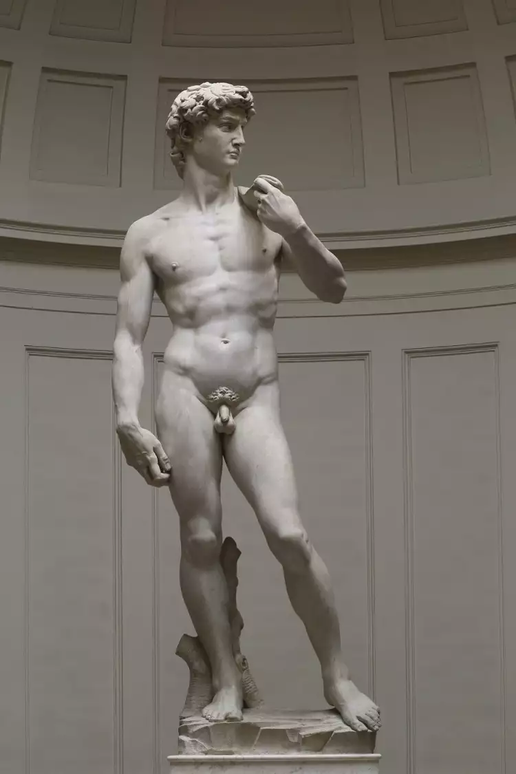 The religious genre. Michelangelo. David, 1504 The religious genre. Michelangelo. David, 1504
