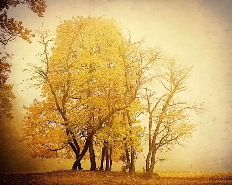 Фотографии в стиле ретро. Карл Кристенсен. «Осенний день»