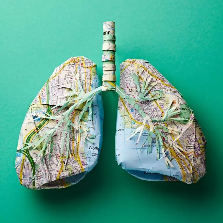 Катрин Родегаст. Легкие из бумаги Катрин Родегаст. Легкие из бумаги