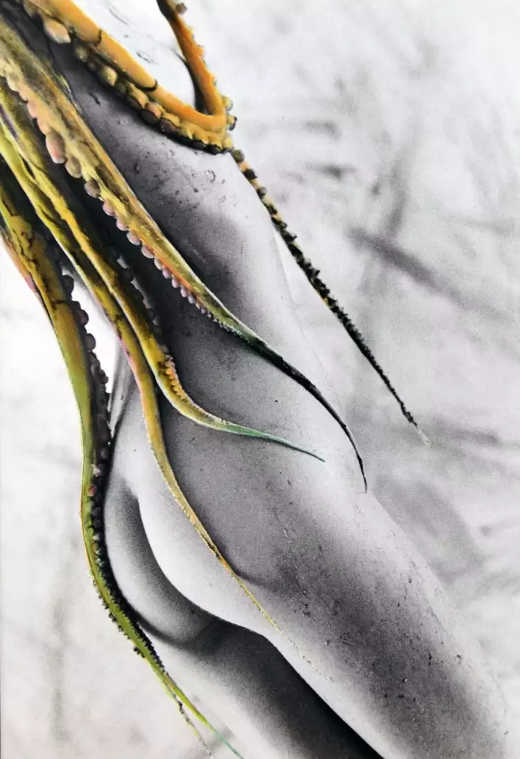 Ню в фотографии. Серхио Валле Дуарте. Фото «Вспоминая сон жены рыбака», 1988