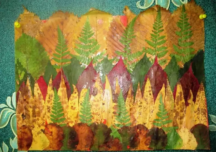 Application. Découpage de feuilles Application. Découpage de feuilles