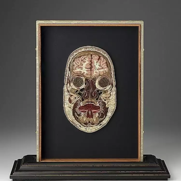 Лиза Нильссон. Лицо