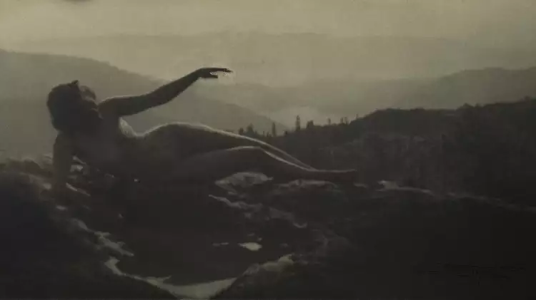 Работа Энн Бригман