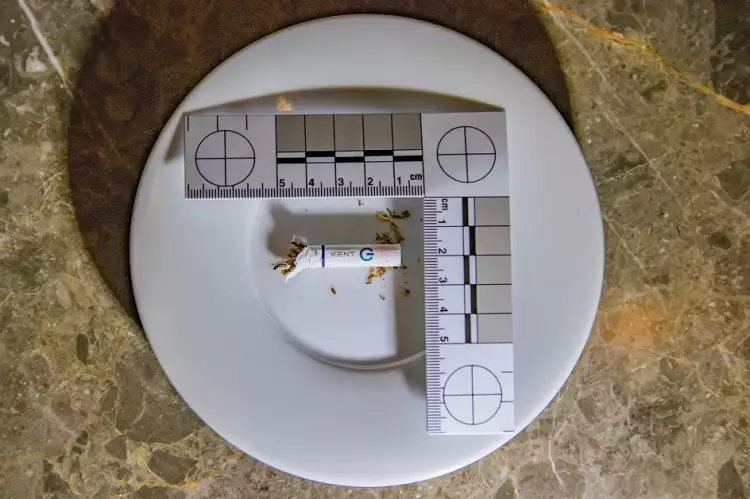 Судебная фотография. Стейси Пирсолл «Изображение сверху улик на инсценированном месте преступления»