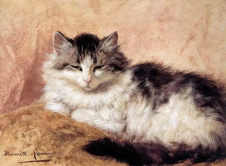 Генриетта Роннер-Книп. Кот, 1893