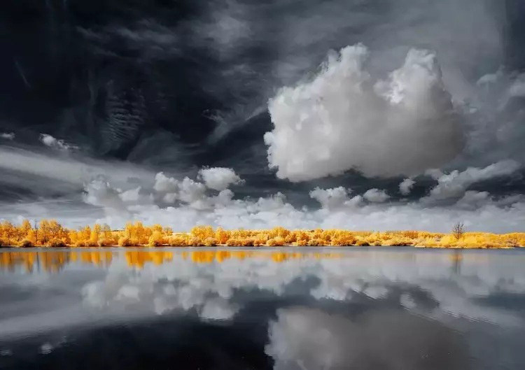 Инфракрасная фотография. Давид Кешкерян. «Без названия»