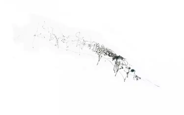 Абстракции Тима Ноулза. Рисунок дуба