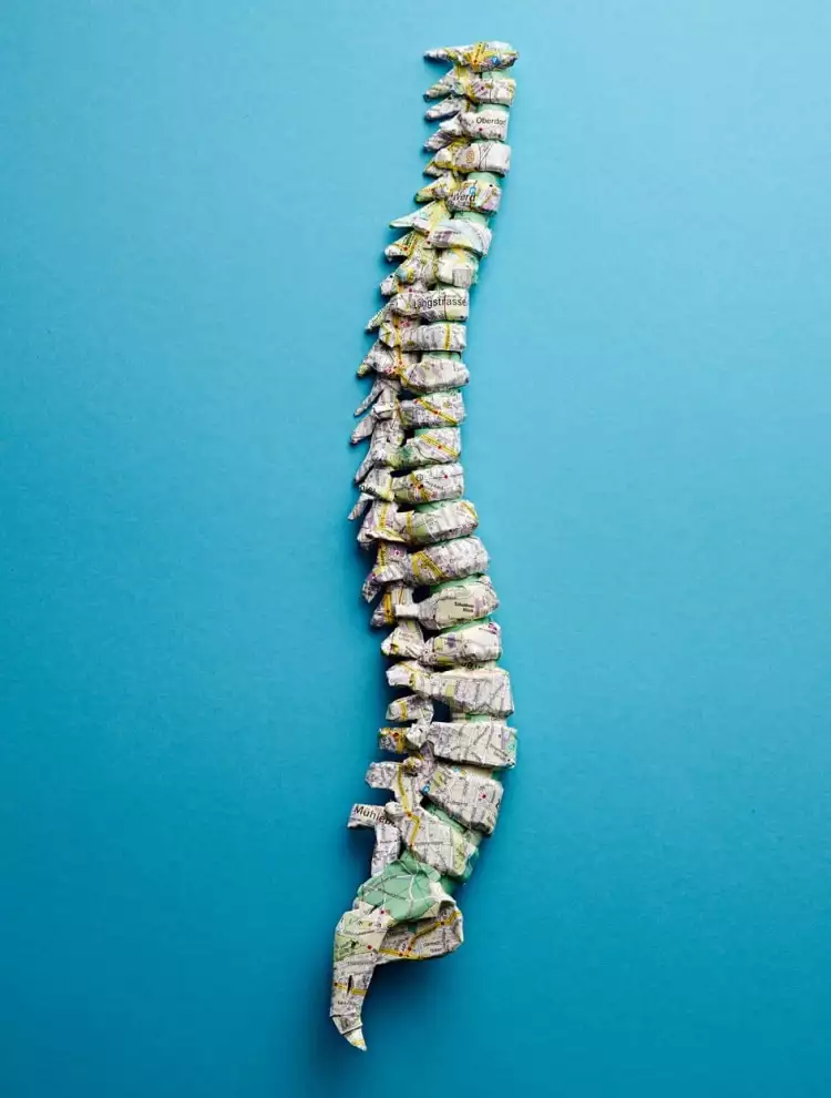 Катрин Родегаст. Позвоночник Катрин Родегаст. Позвоночник