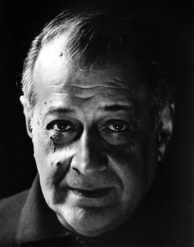 Серж Поляков. Фотопортрет художника