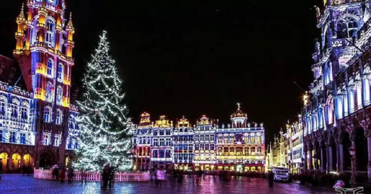 Самые необычные и красивые елки мира. Елка в Брюсселе