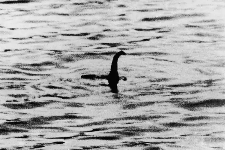 Photographie. La preuve de l'existence du monstre du Loch Ness, 1934 Photographie. La preuve de l'existence du monstre du Loch Ness, 1934