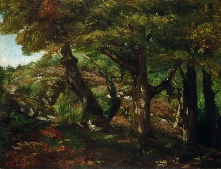 Лес на картинах, или лесной пейзаж. Гюстав Курбе. «Опушка леса», 1856 Лес на картинах, или лесной пейзаж. Гюстав Курбе. «Опушка леса», 1856