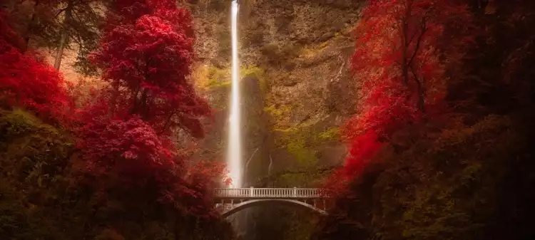 HDR-фотография. Алан Фулмер. «Водопад Малтнома в Орегоне, США»