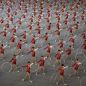 Reportage-Fotografie. David Guttenfelder. Foto der Parade zum 70. Jahrestag in Nordkorea