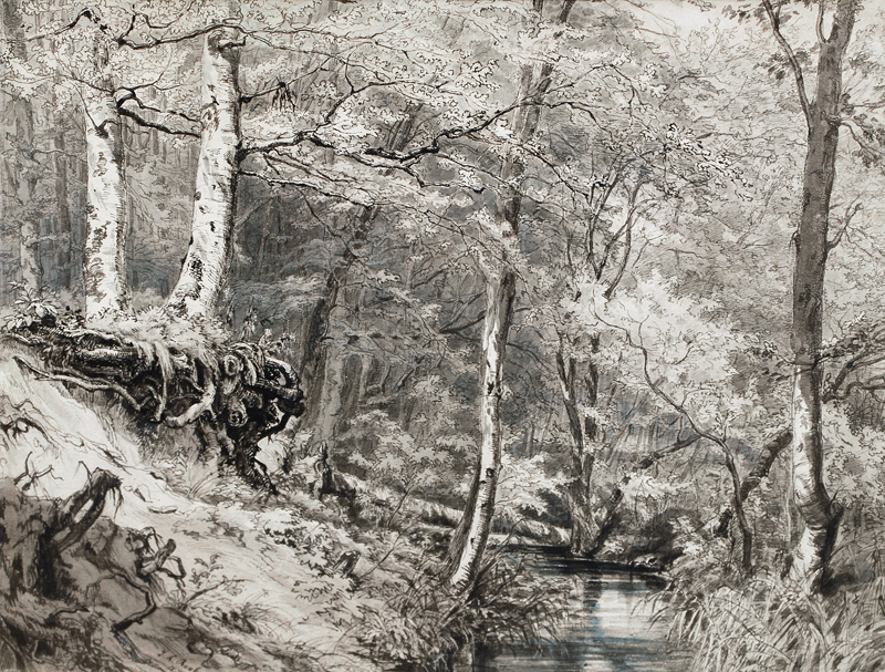 Johann Leonhard Raab (1825 - 1899) - Foto 1