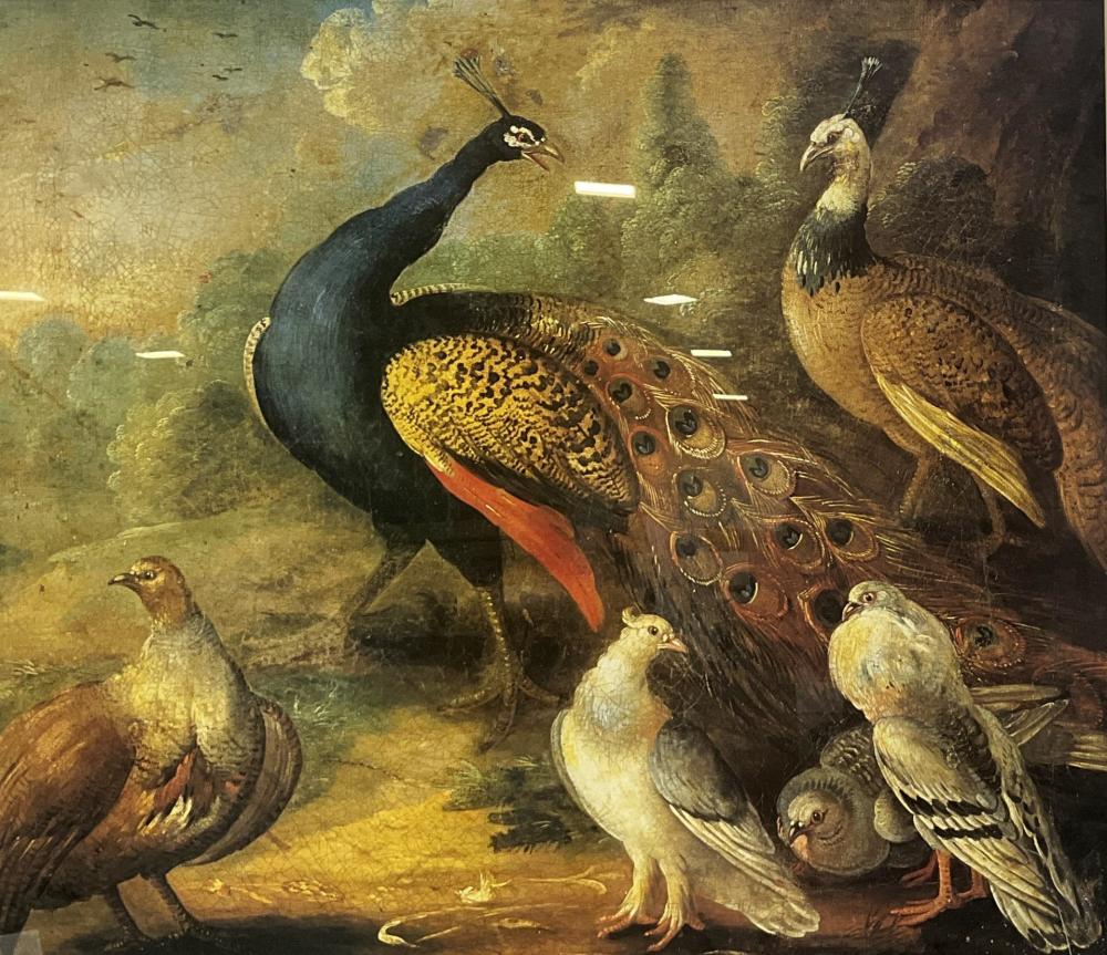 интерьерная живопись птицы. анималист роберт бейтман. анималистический жанр. художник анималист robert bateman. птицы живопись.