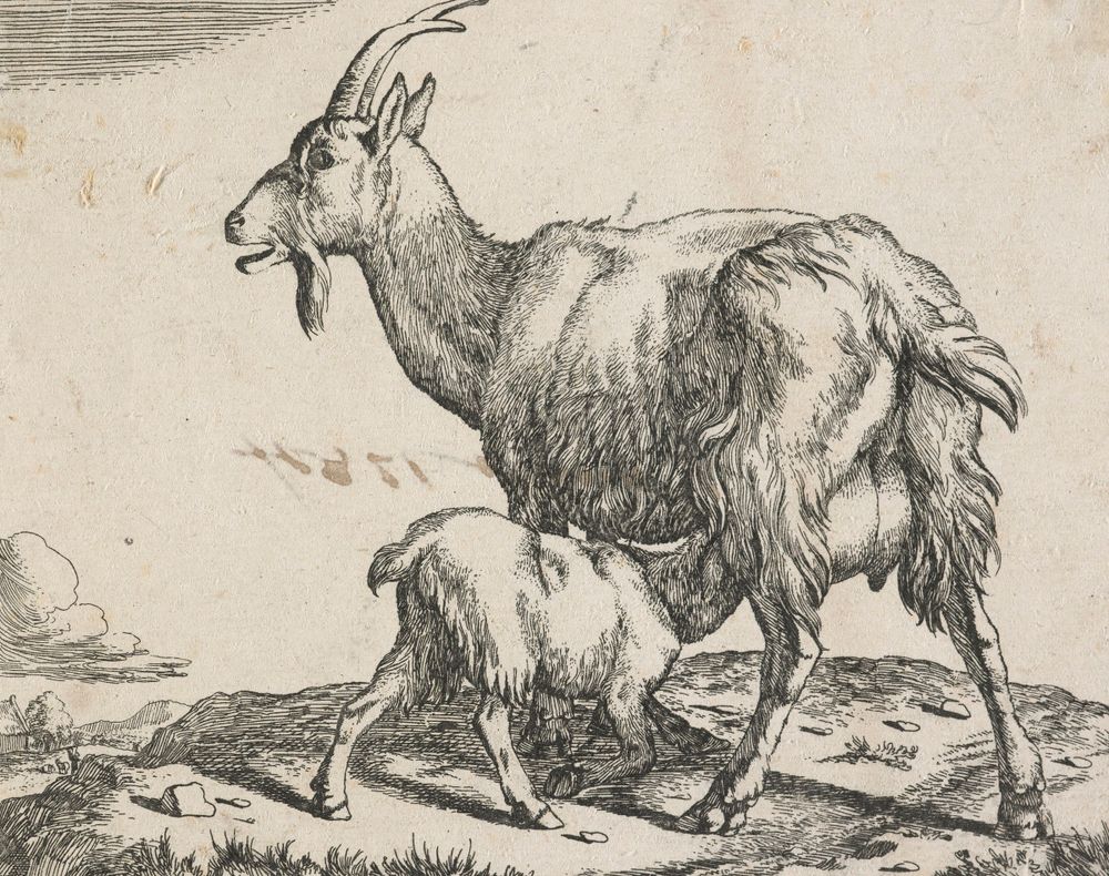 Marcus de Bye (1638 - 1688) - photo 1