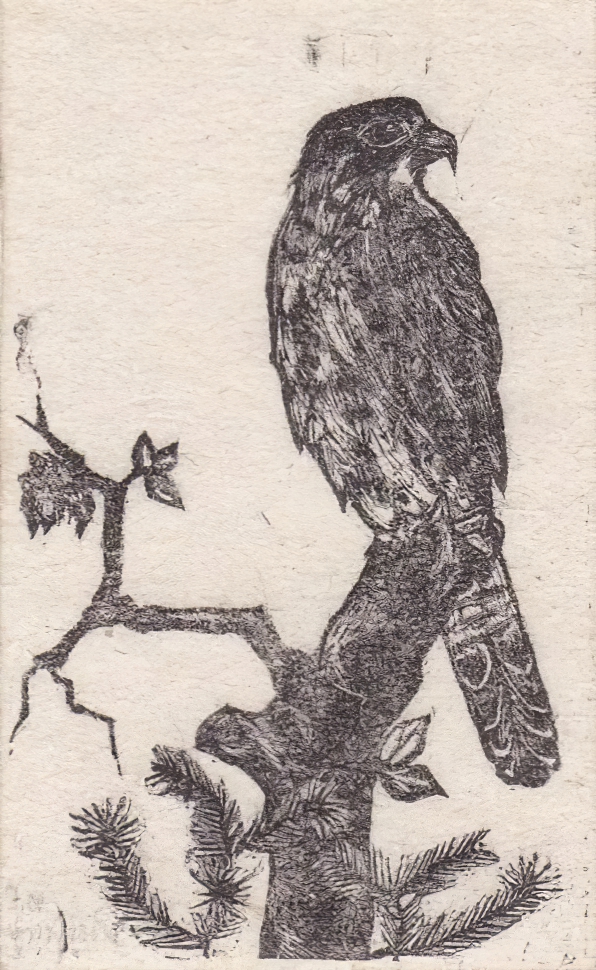 Ingeborg von Einsiedel (1917 - 2002) - photo 1