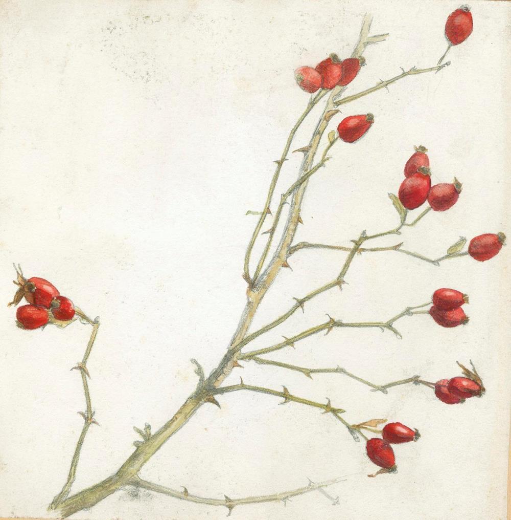 Julius Vilhelm Guldbrandsen (1869 - 1960) - photo 1