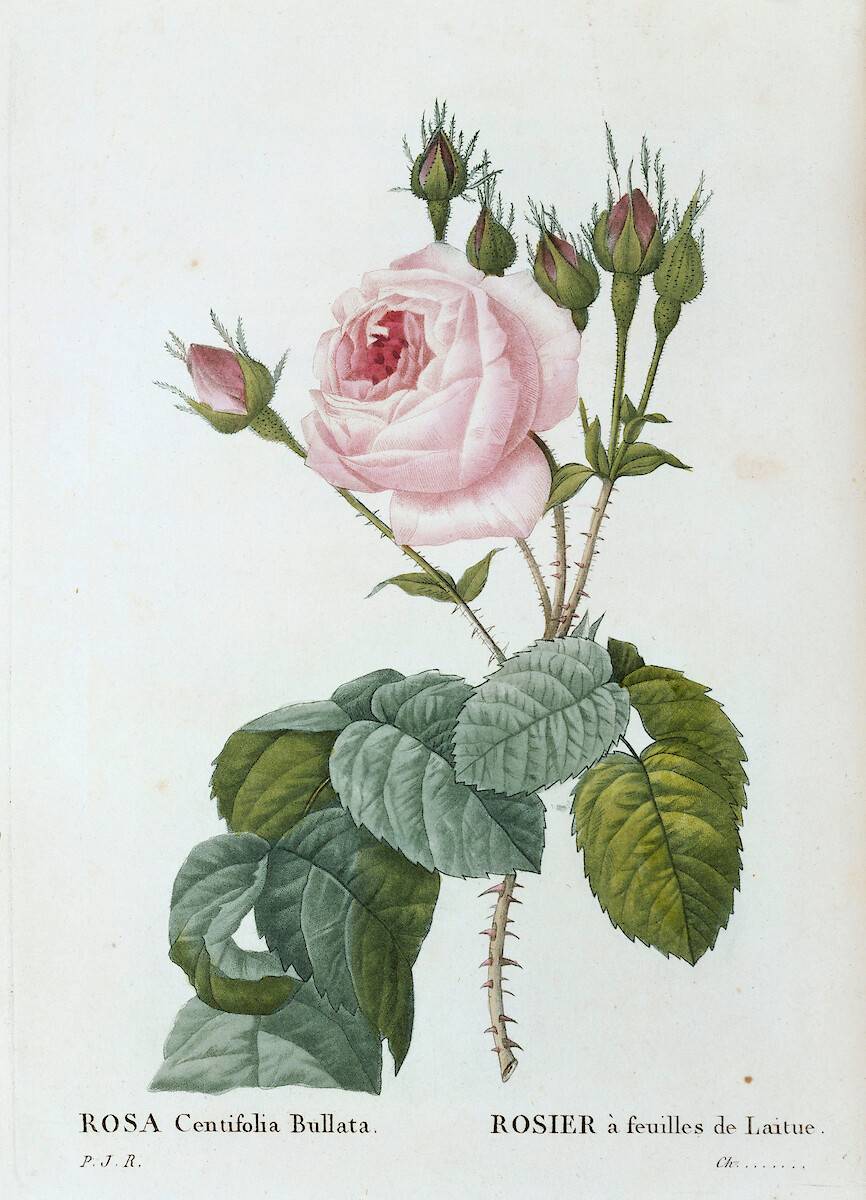 Eustache-Hyacinthe Langlois (1777 - 1837) - Foto 1