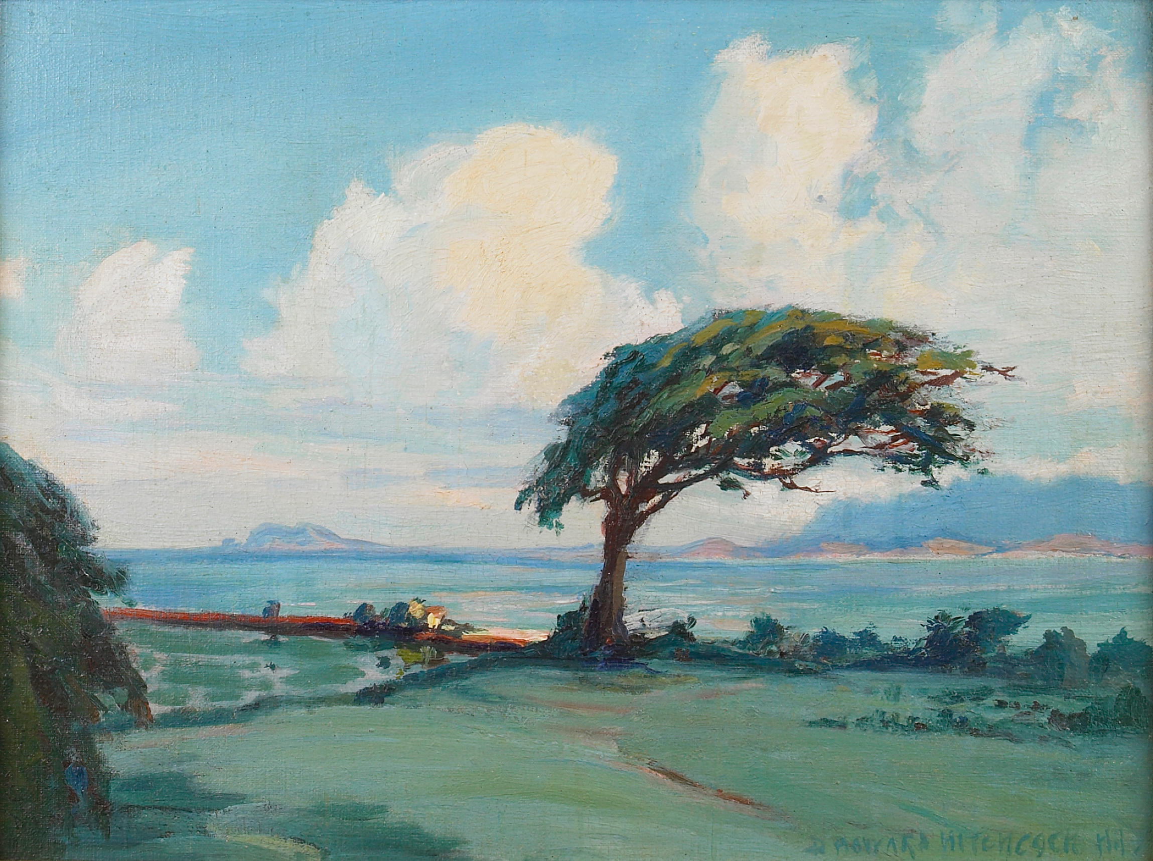 David Howard Hitchcock (1861 - 1943) - photo 1