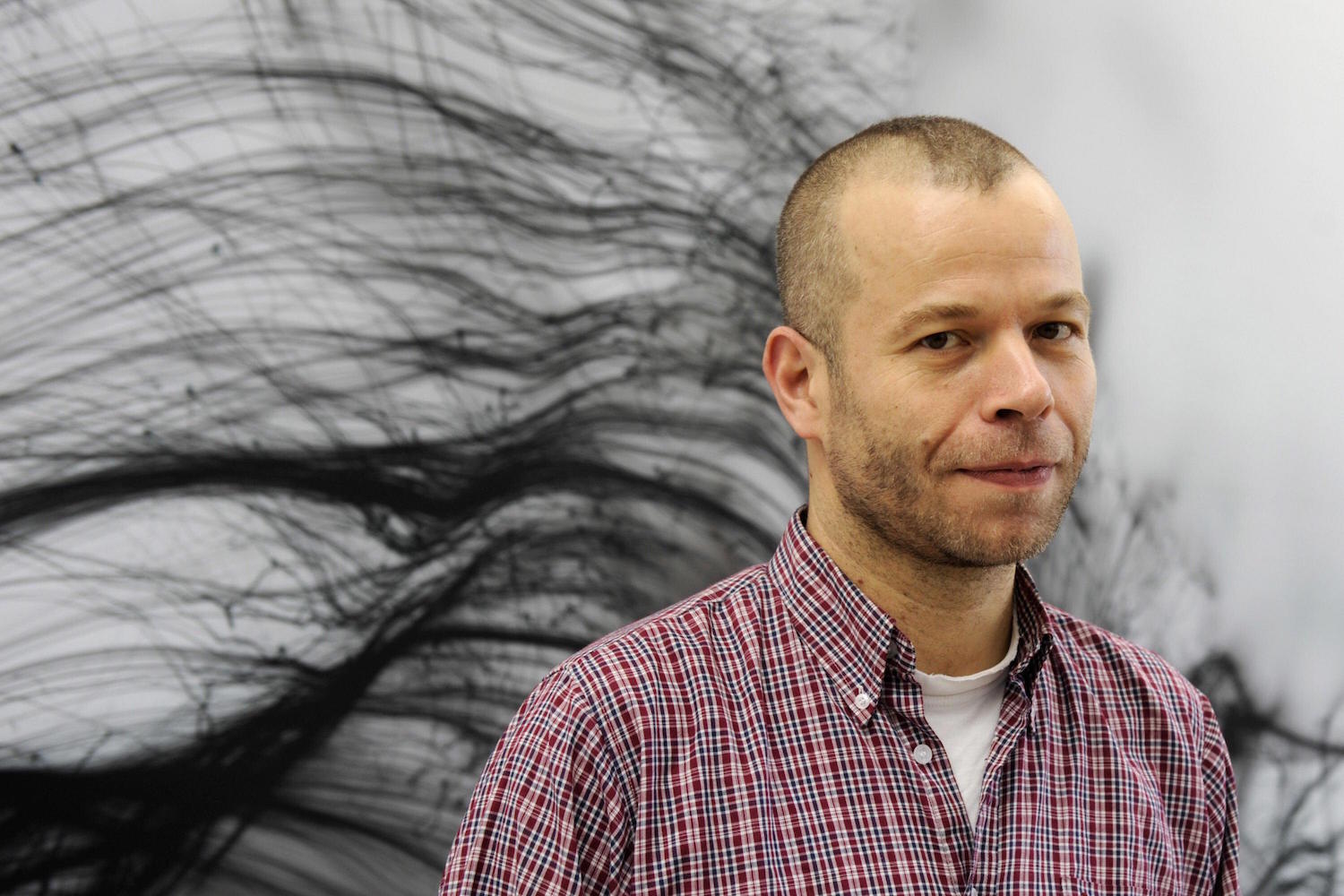 Wolfgang tillmans фотографии