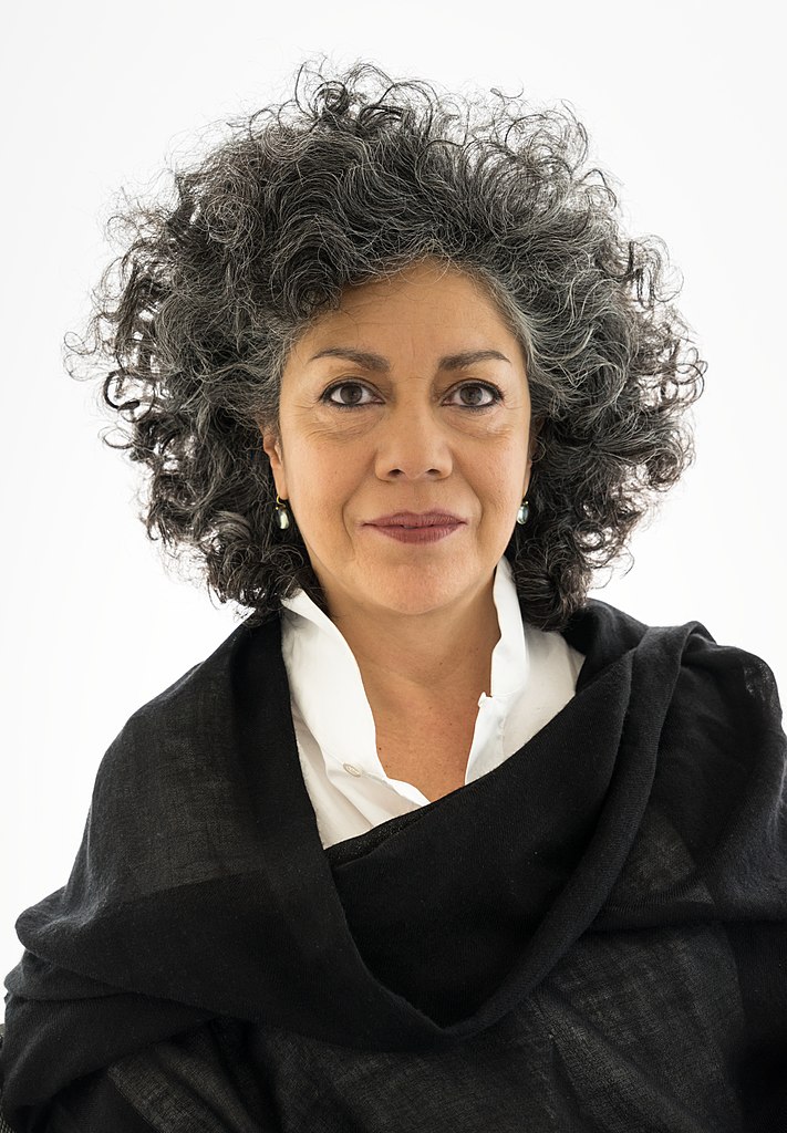 Doris Salcedo (1958) - photo 1