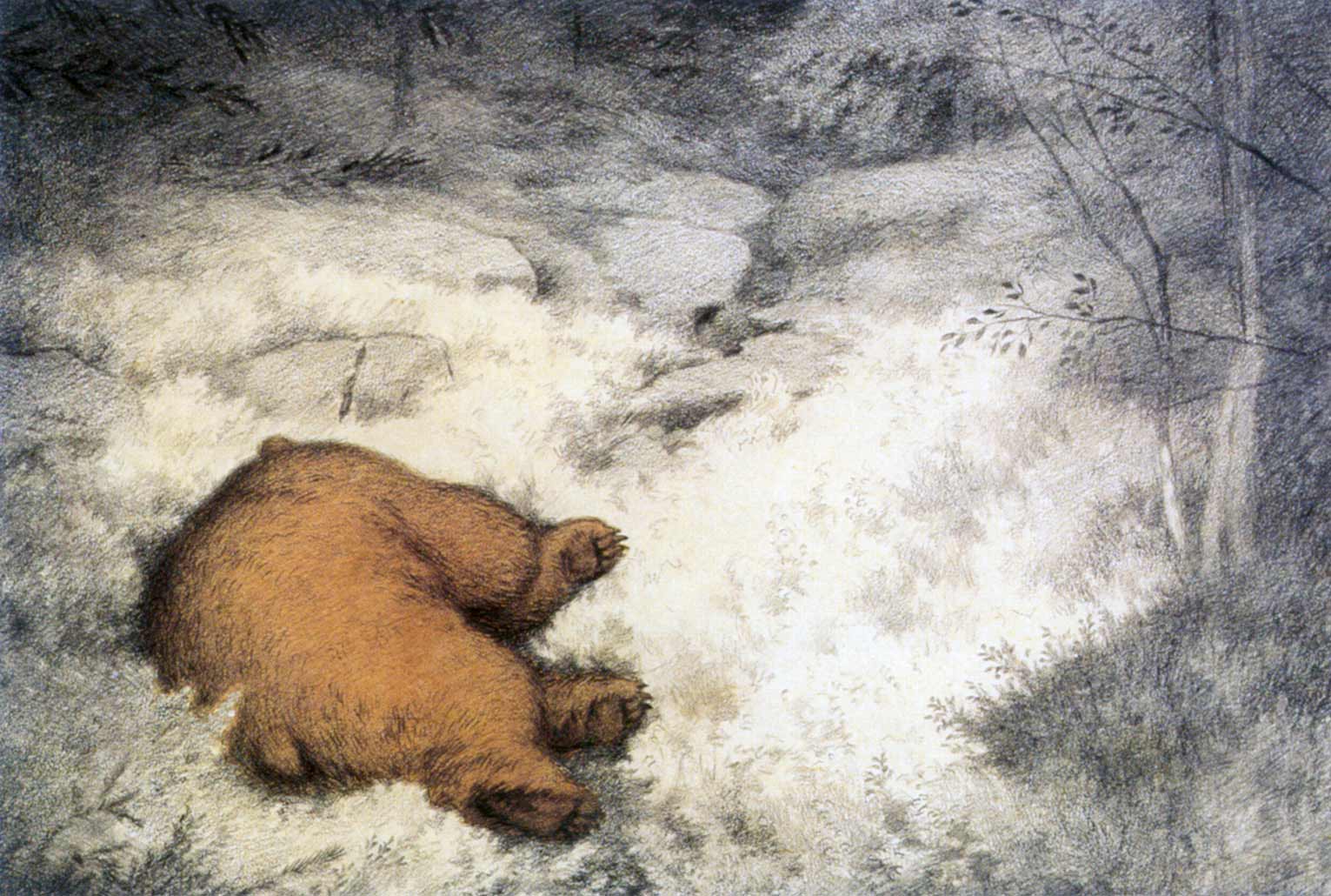 Theodor Severin Kittelsen (1857 - 1914) - Foto 1