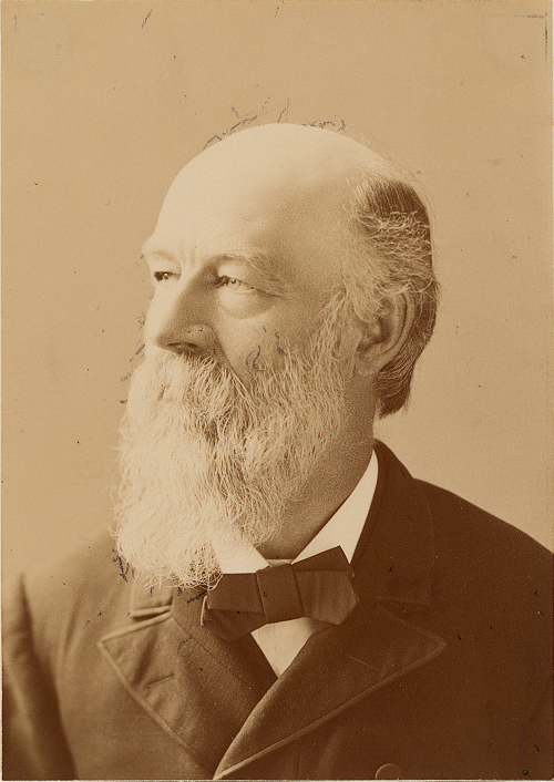 Darius Cobb (1834 - 1919) - photo 1