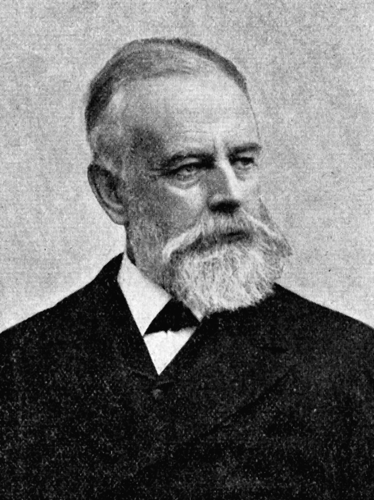 Olof Hermelin (1827 - 1913) - Foto 1