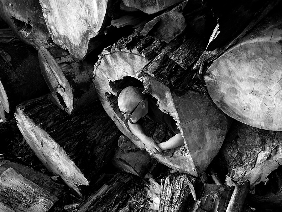 Till Hausmann (1953) - photo 1