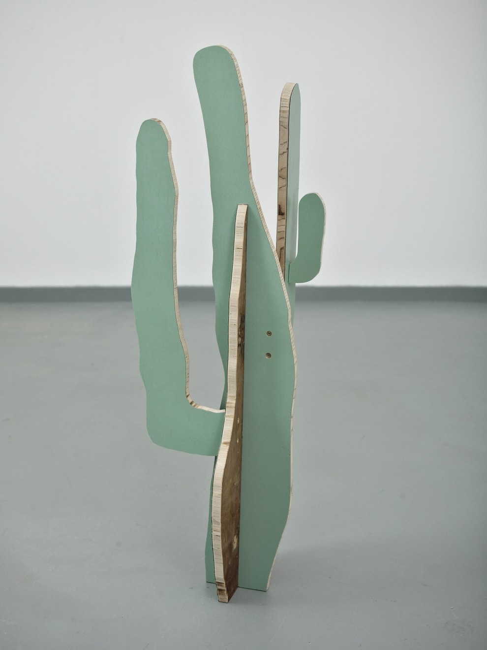 Paul Merrick (1973) - Foto 1