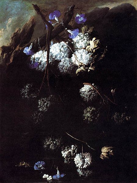 Андреа Бельведере (1652 - 1732) - фото 1