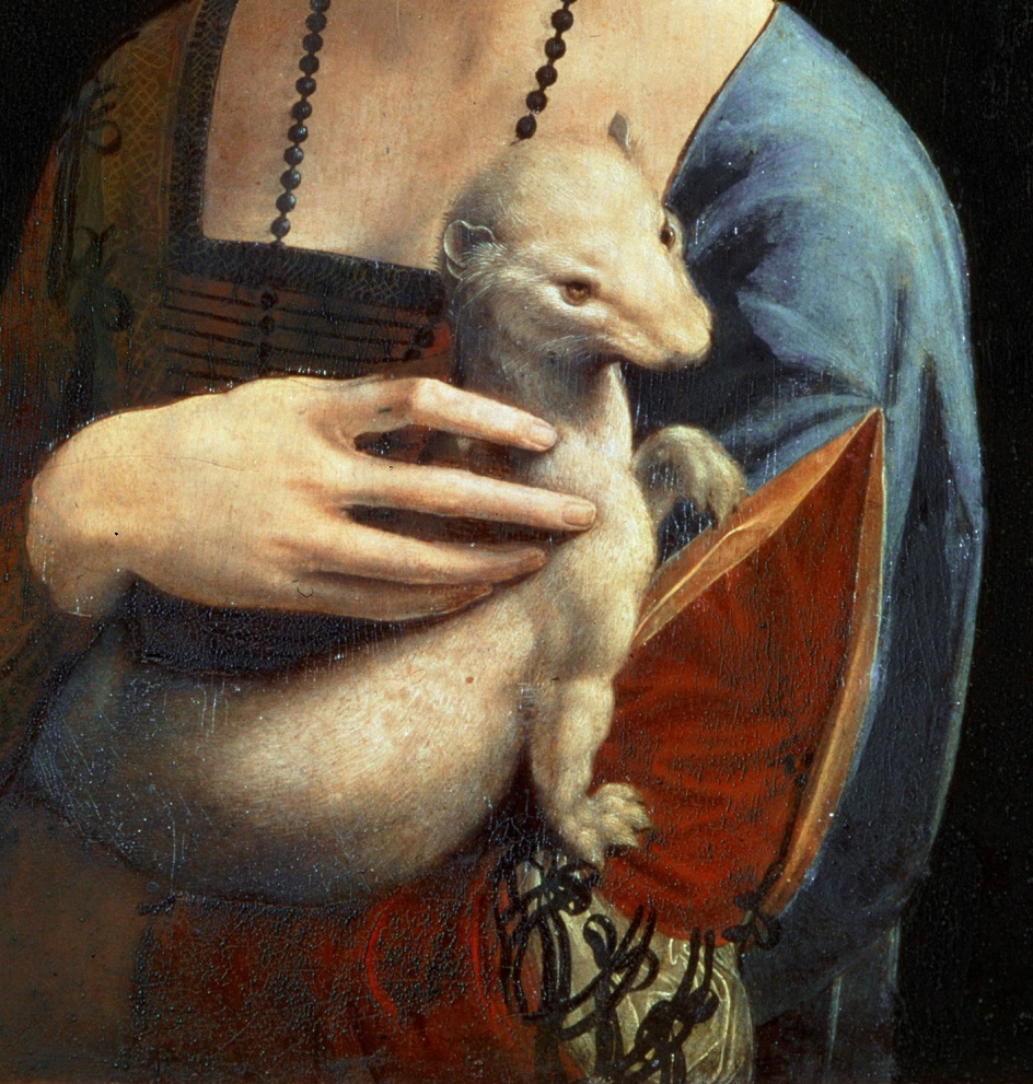 Чечилия Галлерани: история жизни героини картины-портрета «Дама с  горностаем» великого Леонардо да Винчи