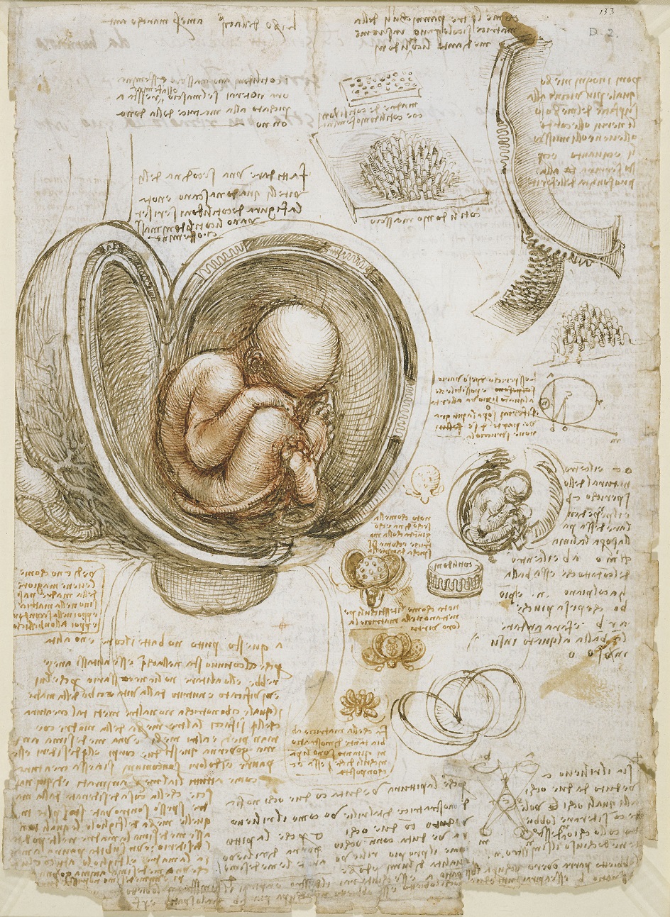 Леонардо да Винчи. Страница из дневника с записями и рисунками по анатомии. 1510