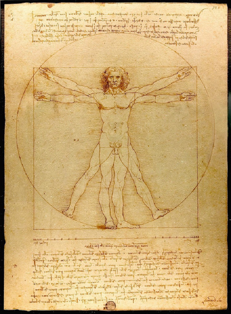 Рисунок. Леонардо да Винчи. «Витрувианский человек»