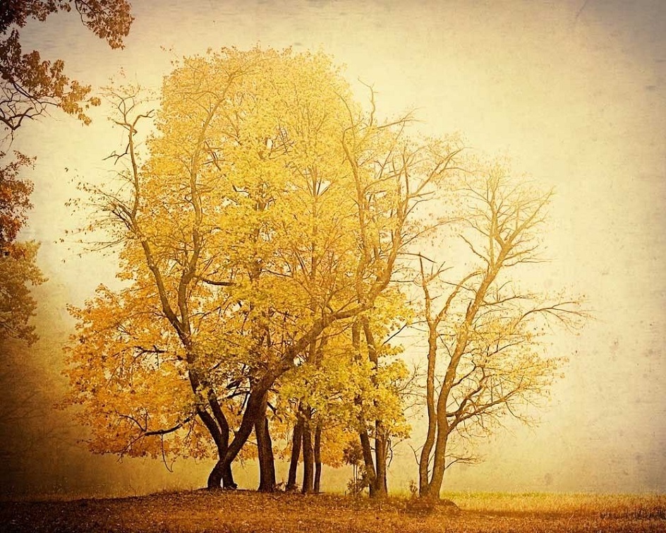 Фотографии в стиле ретро. Карл Кристенсен. «Осенний день»