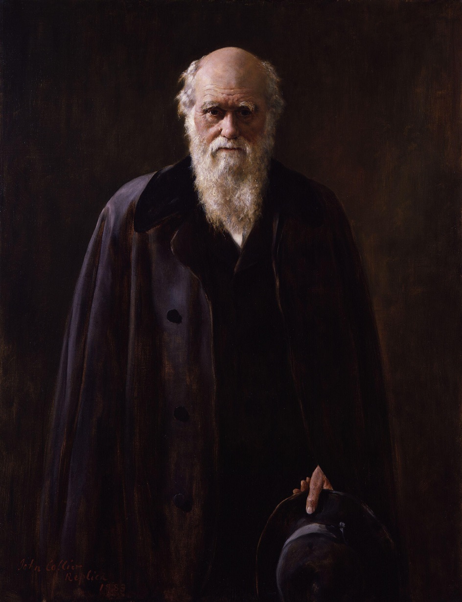 Джон Кольер. Картина «Портрет Чарльза Дарвина», 1882