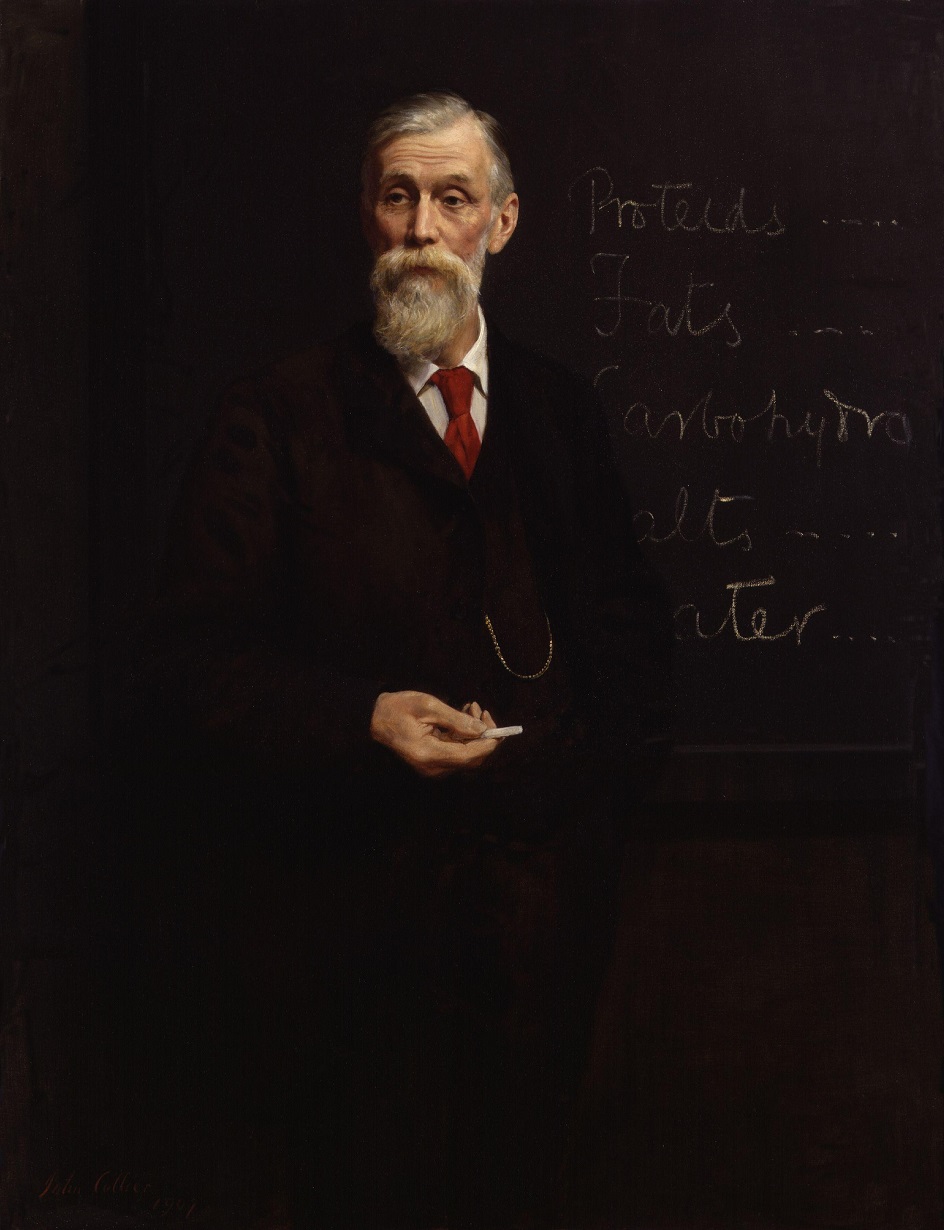 Джон Кольер. Картина «Портрет Майкла Фостера», 1907